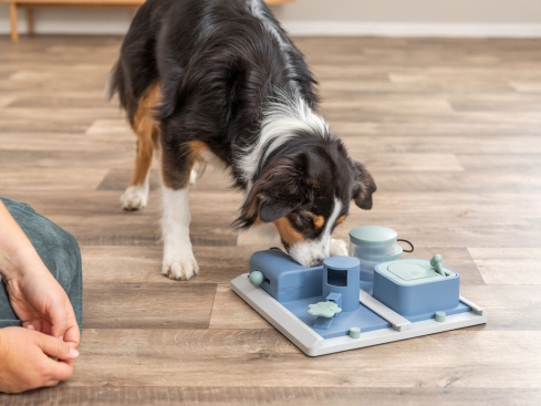 Dog Activity Poker Box 2 Hunde Intelligenzspiel