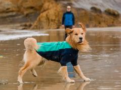 Ruffwear Undercoat™ Hunde-Neoprenanzug Aurora Teal 9