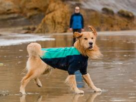 Ruffwear Undercoat™ Hunde-Neoprenanzug Aurora Teal XL 9