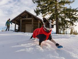 Ruffwear Furness™ extra warme Hundejacke Red Sumac XS 9