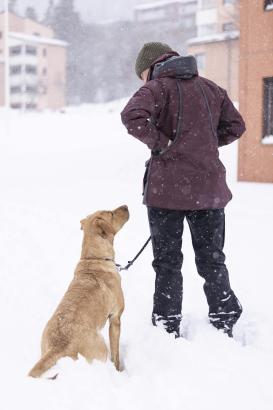 Pinewood® Dog Sports 2.0 Damen Jacke Earth Plum/Dark Anthrazit -S- 9