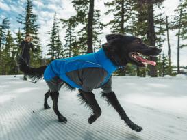 Ruffwear Vert Coverall Winter-Hundejacke Blue Pool 9