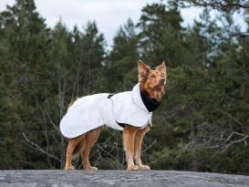 Paikka Visibility reflektierende Hunde-Winterjacke dark 9