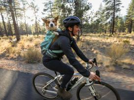 Ruffwear Hitch Hiker™ Tragerucksack für Hunde River Rock Green XXS 9