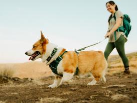 Ruffwear Front Range Flex Hundegeschirr Deep Teal 9