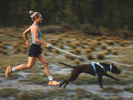 Ruffwear Front Range Flex Hundeleine Basalt Gray 9