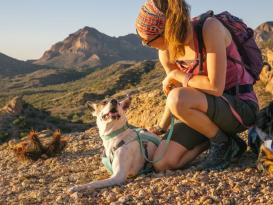 Ruffwear Swamp Cooler kühlendes Hundegeschirr Sage Green S 9