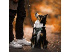 Hunter Hundegeschirr Divo grün/grau S 9