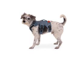 Ruffwear Web Master™ Hundegeschirr Slate Blue XXS 9