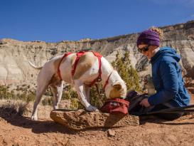 Ruffwear Web Master™ Hundegeschirr Red Sumac XXS 9