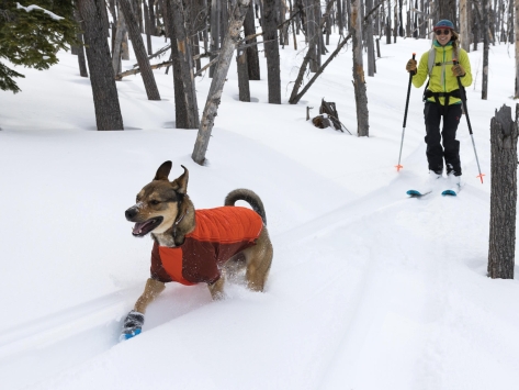 Ruffwear Powder Hound™ Winterjacke für Hunde Persimmon Orange