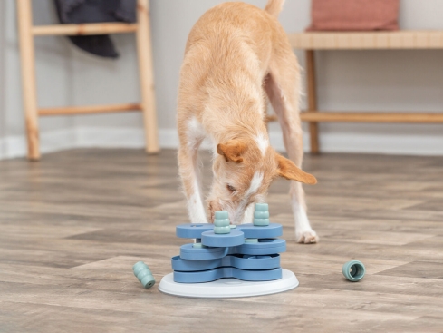 Dog Activity Flower Tower Quizturm