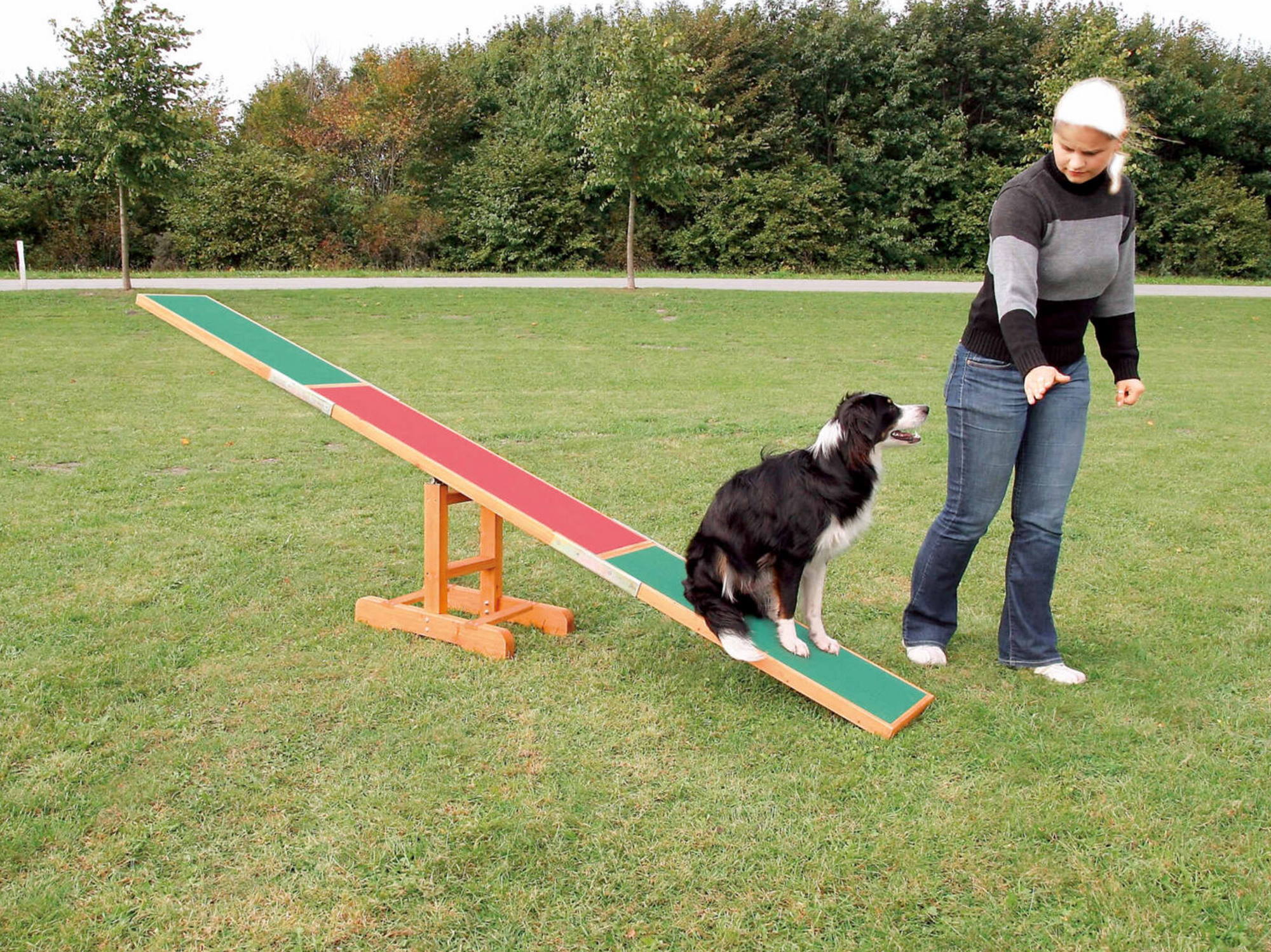 Dog Activity Fun Agility Wippe aus Kiefernholz 