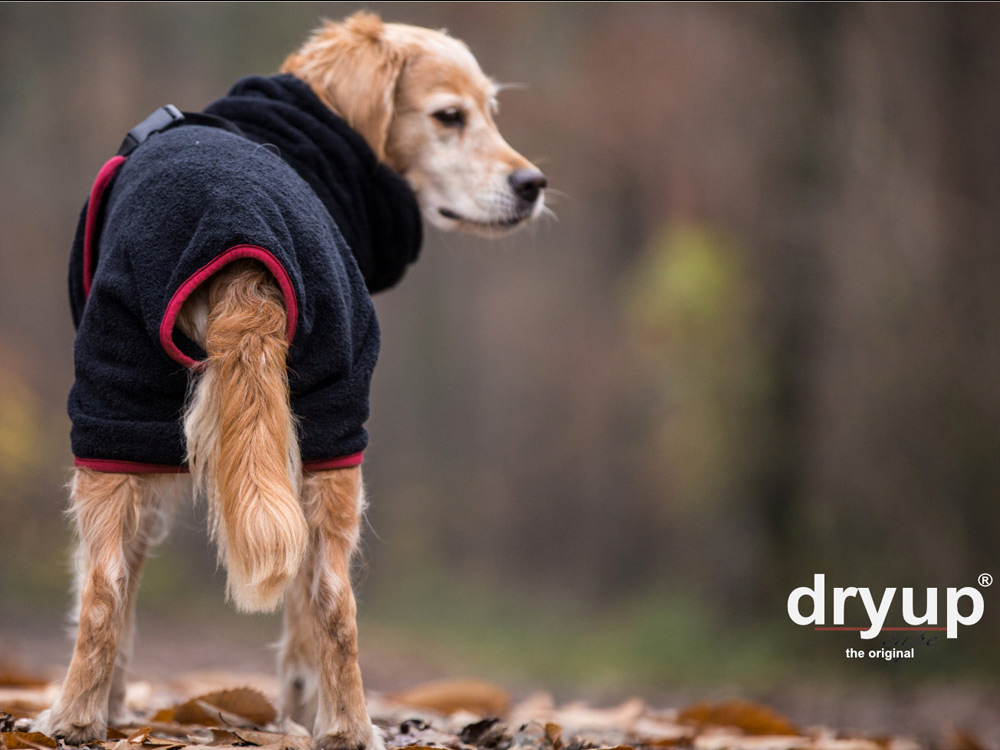 Dryup Cape Hundebademantel schwarz 