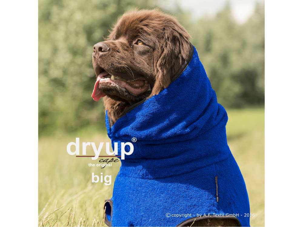 Dryup Cape Hundebademantel BIG blueberry 