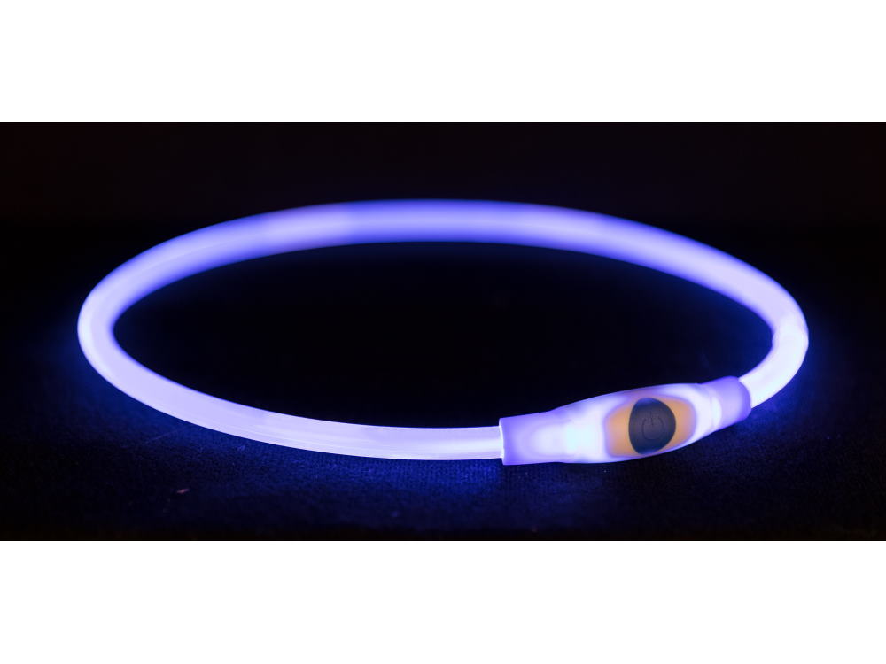 Flash Leuchtring USB für Hunde blau 