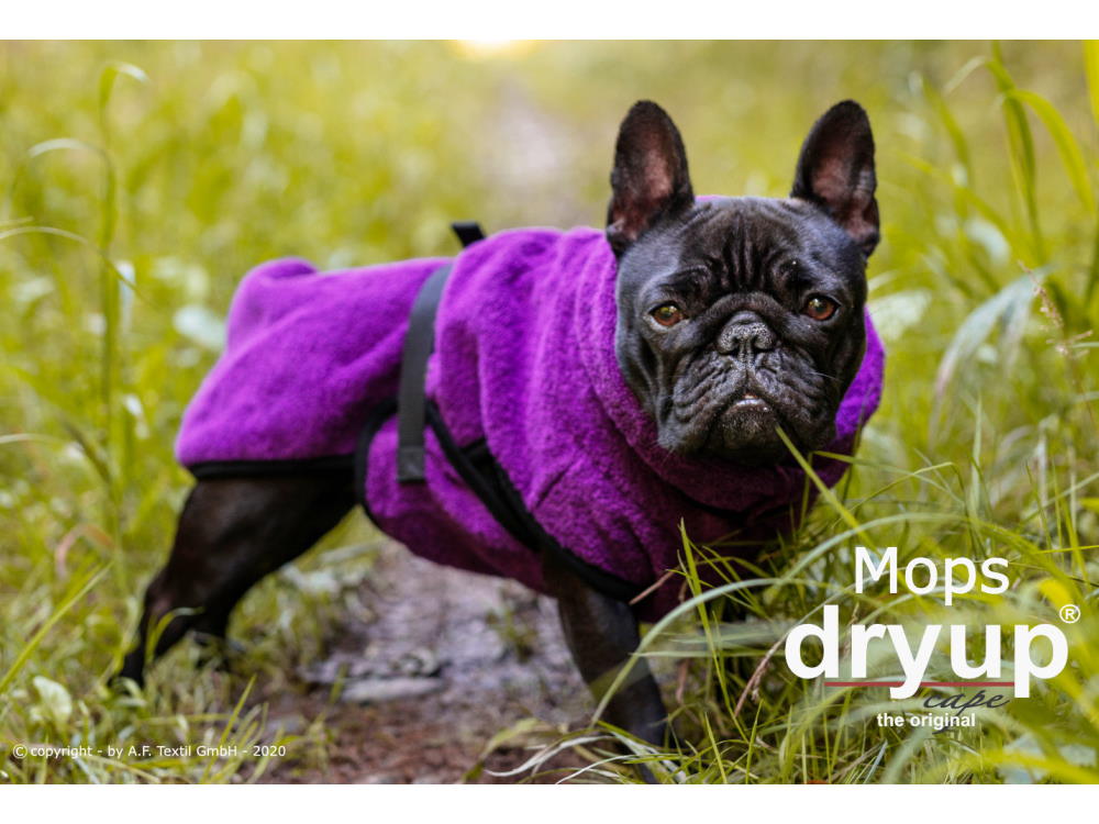 Dryup Cape Hundebademantel Mops bilberry 