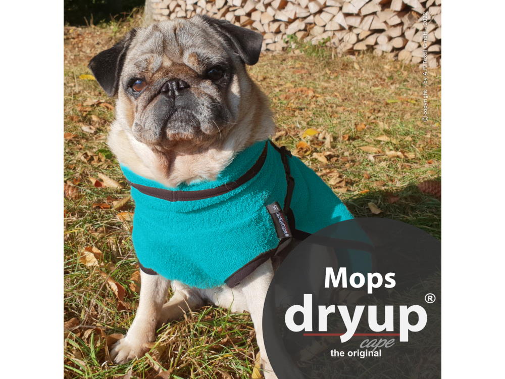 Dryup Cape Hundebademantel Mops petrol 
