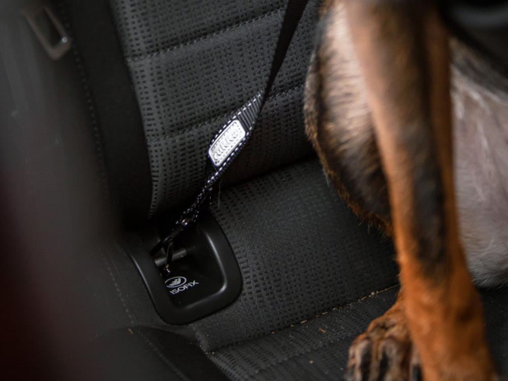 Color & Gray - Sicherheitsgurt Adapter für Hunde von 10 bis 25 kg- bl,  13,30 €