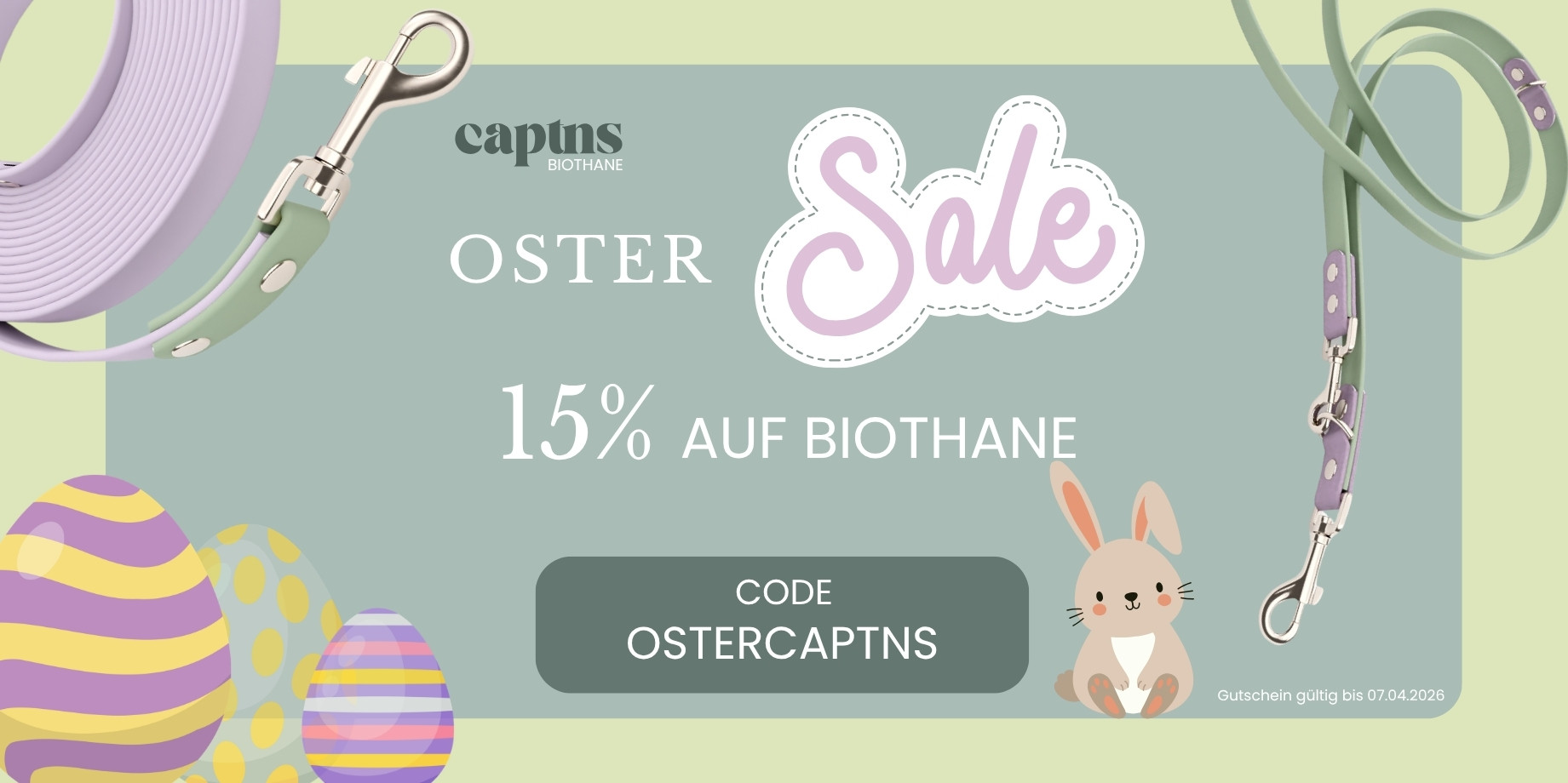 Biothane Hundeleinen