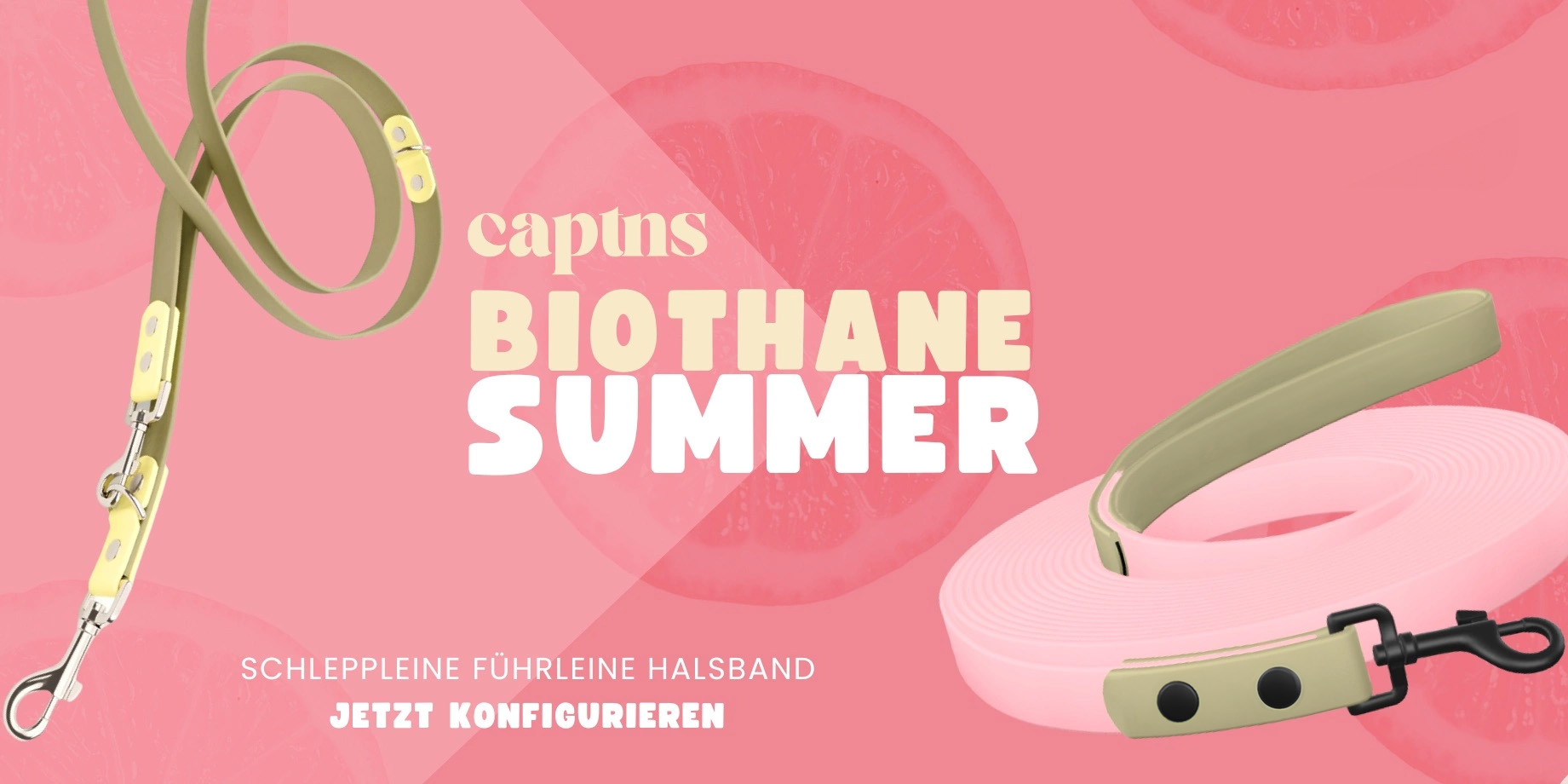 Biothane Hundeleinen