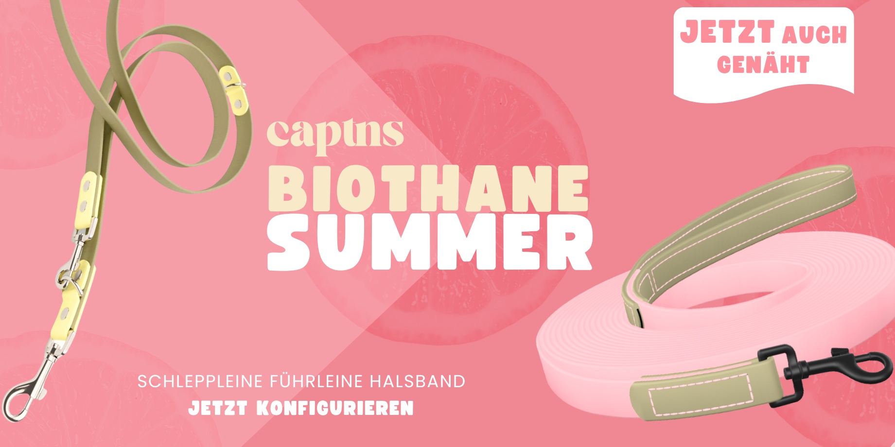 Biothane Hundeleinen