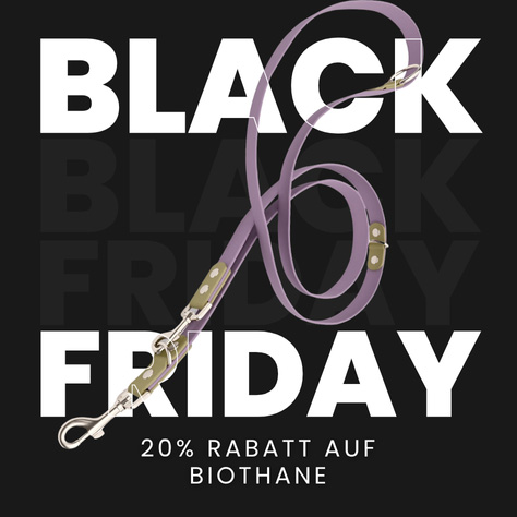 Regenmantel für Hunde