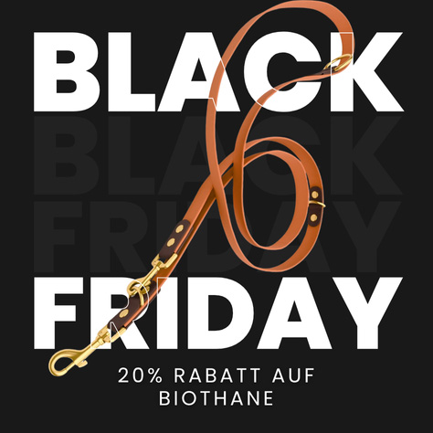 Abkühlung für Hunde