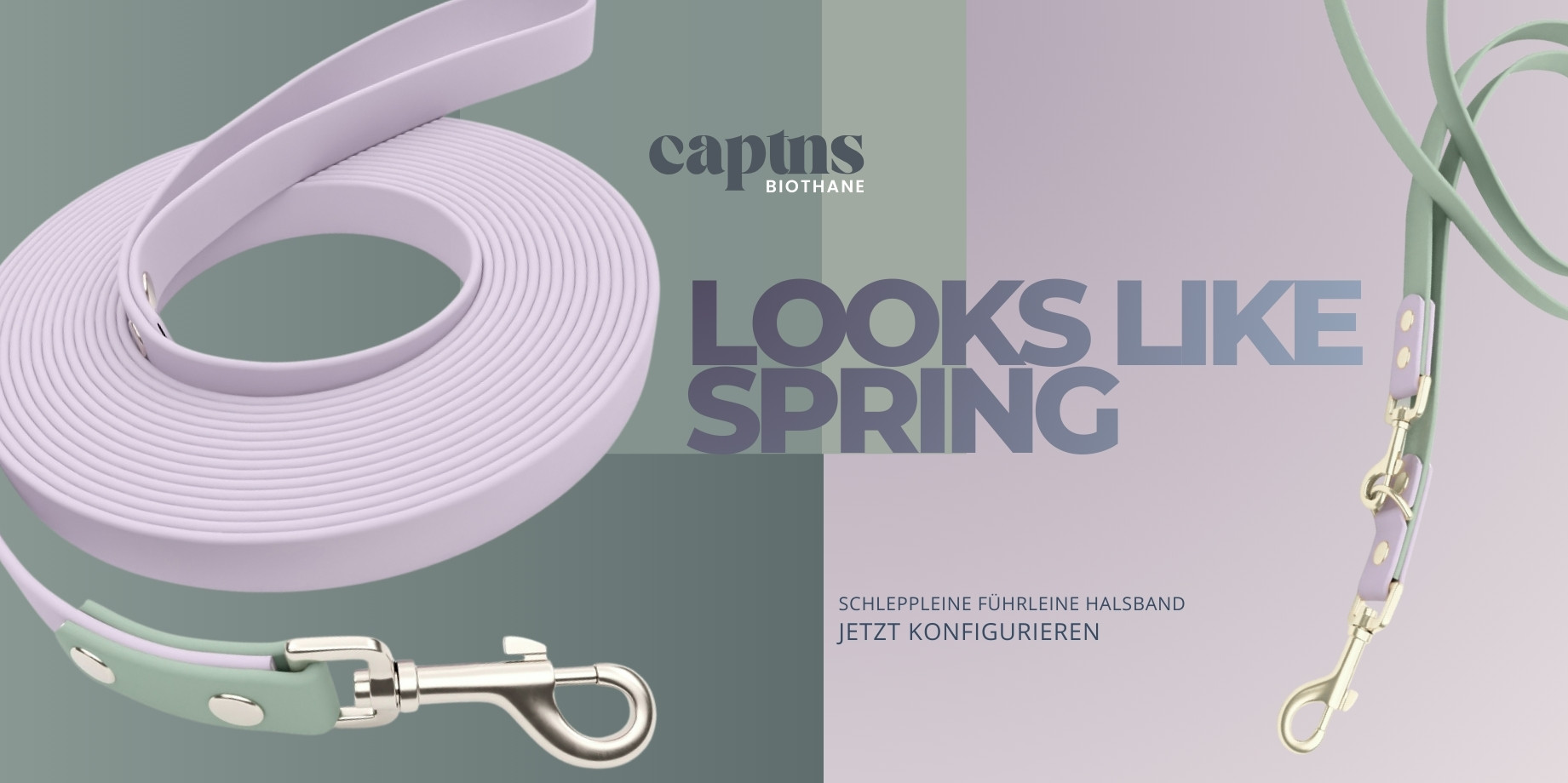 Biothane Hundeleinen