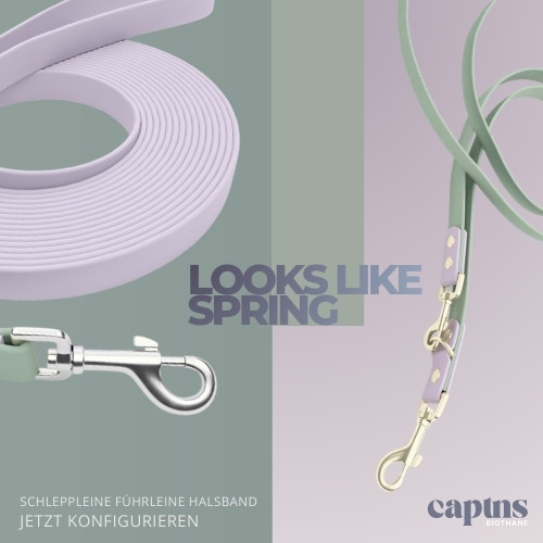 Biothane Hundeleinen