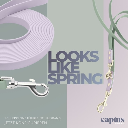 Biothane Hundeleinen