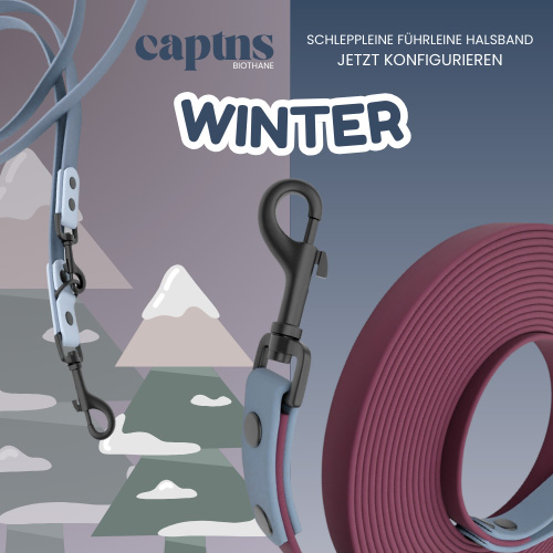 Biothane Hundeleinen