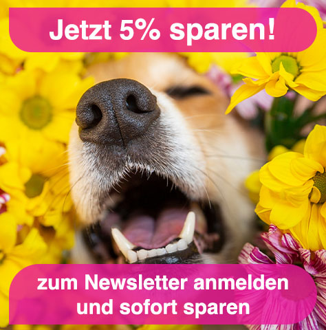 Newsletter und 5% Gutschein