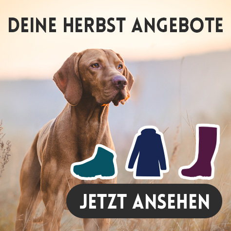 Herbst Angebote