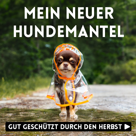 Hundemantel