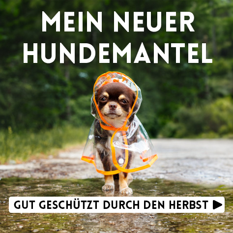 Hundemantel