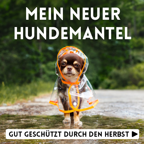 Hundemantel 