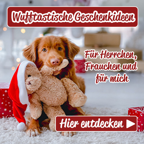 Weihnachts Geschenkideen für dich und deinen Hund