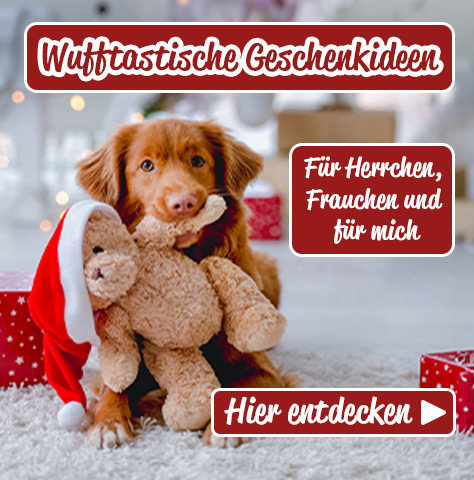 Geschenkideen für dich und deinen Hund