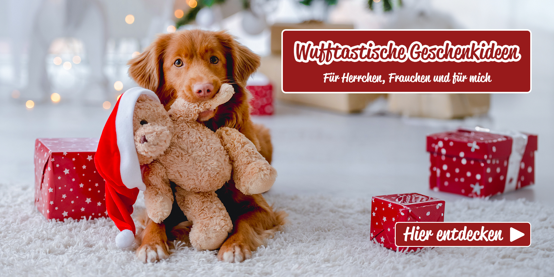 Geschenkideen für dich und deinen Hund